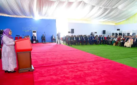 Can Tanzania’s new sovereign pragmatism stance advance economic diplomacy?