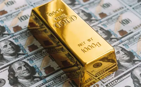 Tanzania misses out on Africa’s top reserve holders despite vast economic potential