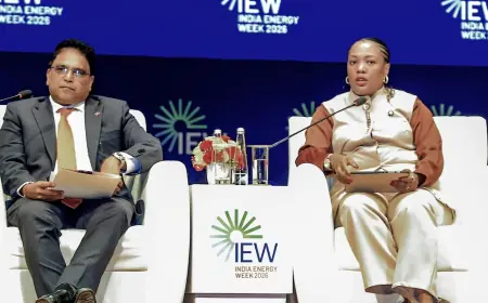 Tanzania deploys LNG diplomacy to counter political volatility narratives