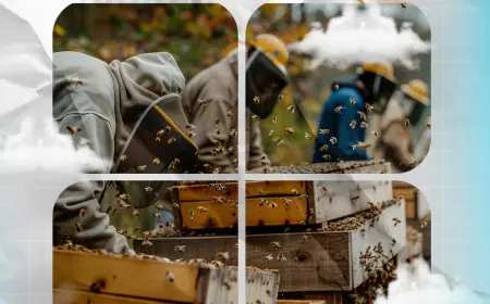 Investor Pitch.  Beekeeping, Eco-Tourism Concession