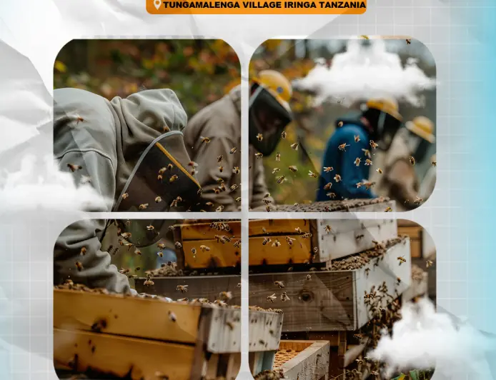 Investor Pitch.  Beekeeping, Eco-Tourism Concession