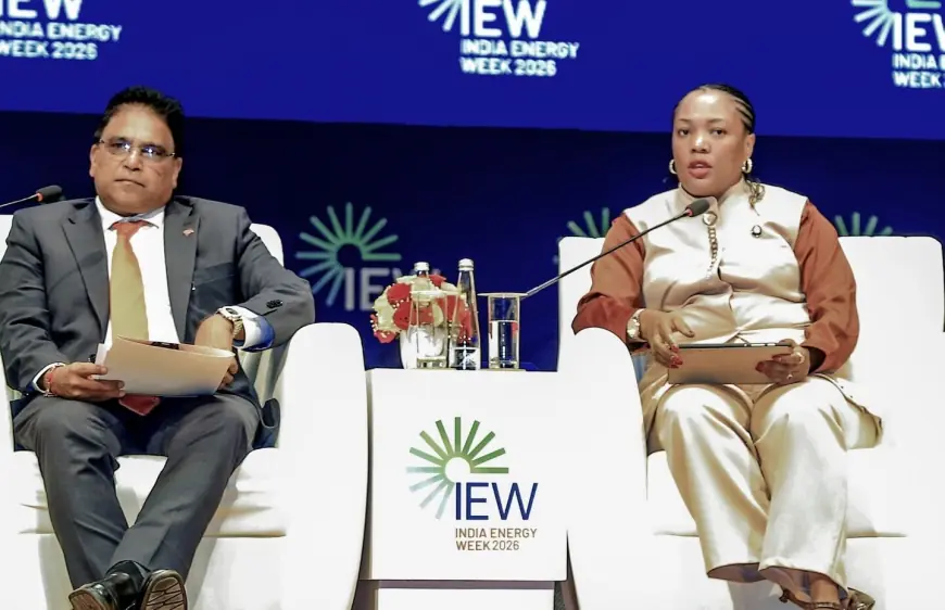 Tanzania deploys LNG diplomacy to counter political volatility narratives