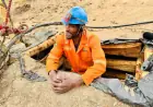 Youth dominate new primary mining licences as sector expands