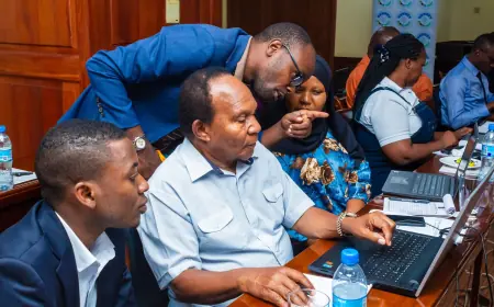 Tanzania Chamber of Commerce goes fully digital with new trade portal