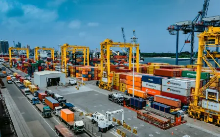 Tanzania narrows trade gap as exports surge by over 10pc