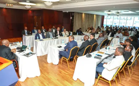 BoT initiates stakeholder consultations on creation of joint credit guarantee firm