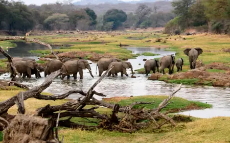 1400 acres farm for lease near Ruaha National Part in Iringa