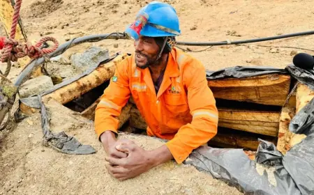 Youth dominate new primary mining licences as sector expands