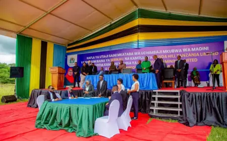 Tanzania set to become global niobium powerhouse with Panda Hill project