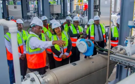 Tanzania, Malawi strengthen energy cooperation amid global volatility