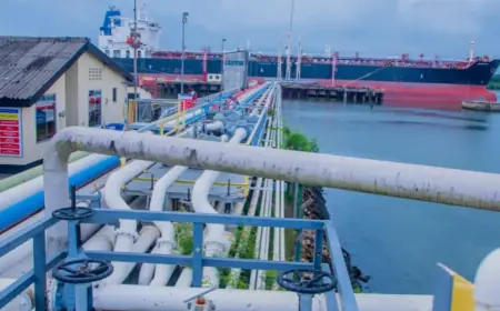 Tanzania seeks to strengthen fuel supply chains amid Iranian energy crisis