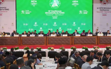 WTO members introduce world's first baseline digital trade rules