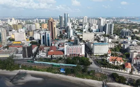 Fitch maintains Tanzania rating at B+ with stable outlook