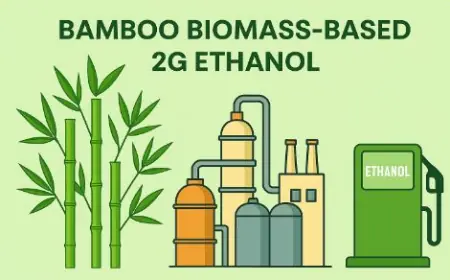 UDSM accorded national patent for bamboo‑based bioethanol technology  