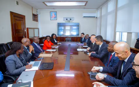 Tanzania invites Turkish investment in strategic infrastructure, energy projects