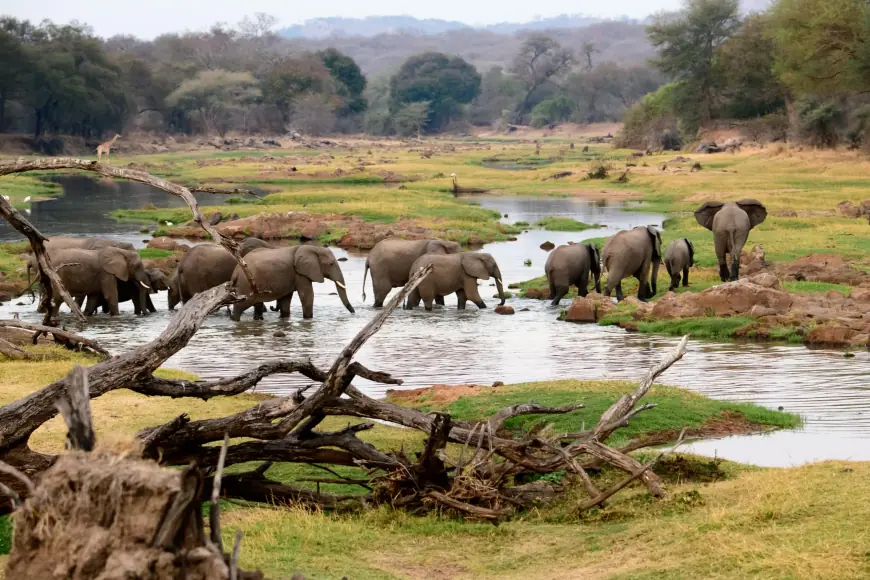 1400 acres farm for lease near Ruaha National Part in Iringa