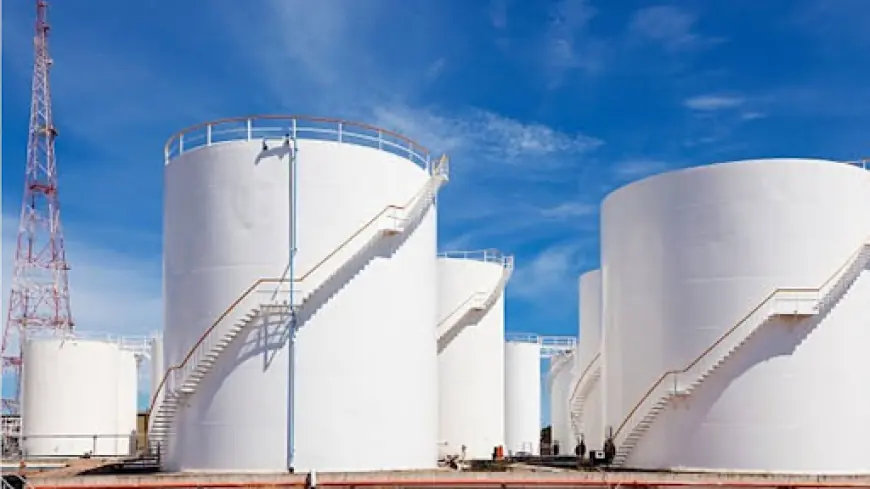 Tanzania secures enough fuel to last three months amid global energy crisis