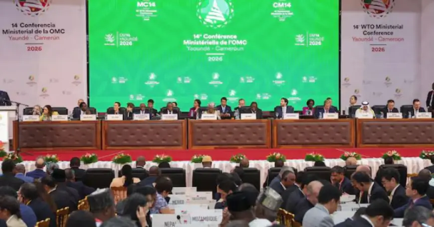 WTO members introduce world's first baseline digital trade rules