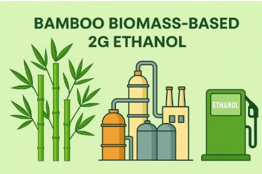 UDSM accorded national patent for bamboo‑based bioethanol technology  