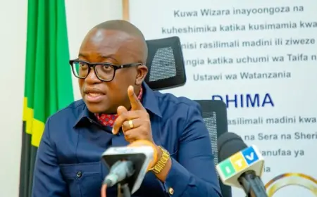 Tanzania tightens regulatory grip to end mineral licence hoarding