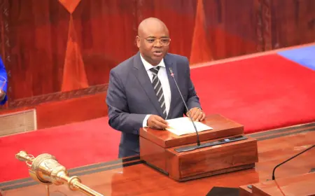 New Public Investment Bill targets efficiency in state-owned firms