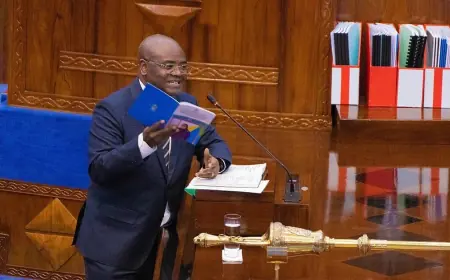 Tanzania unveils strategic Sh144.85 billion budget to anchor Vision 2050