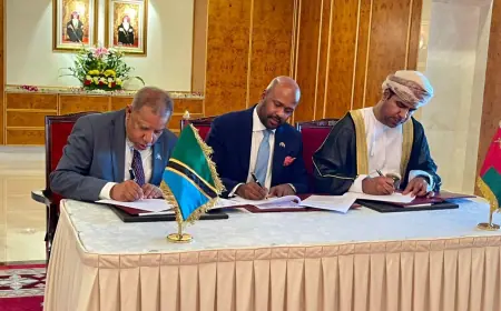 Tanzanian corporate footprint abroad hits record $3.1 billion