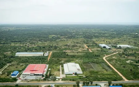 Manufacturing leads as Tanzania attracts $6.2bn in fresh investments