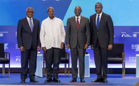  East African leaders in talks with Dangote over multi-billion refinery project in Tanga