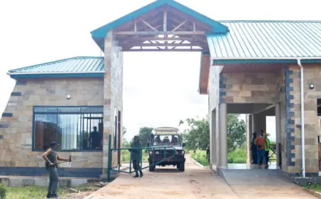 Tanzania opens Mamire Gate to the west of Tarangire National Park to spur local tourism