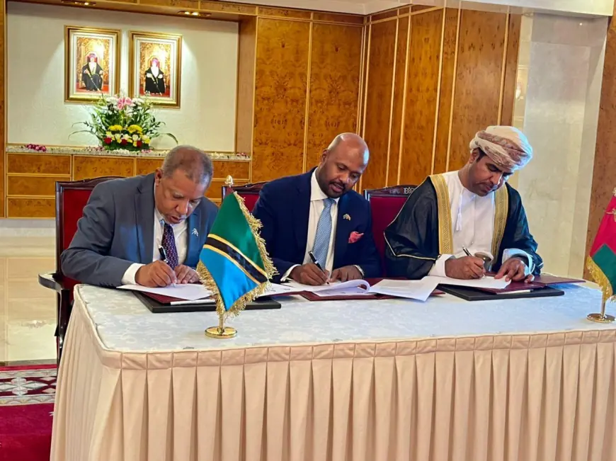 Tanzanian corporate footprint abroad hits record $3.1 billion