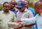 Tanzania nears final investment deal on $3bn Liganga-Mchuchuma mega project