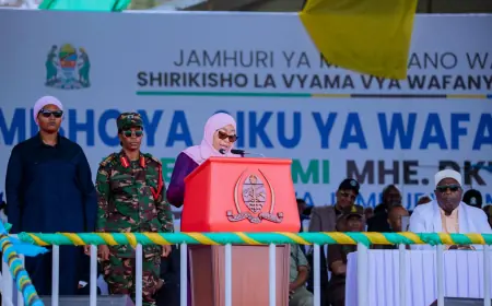 Samia holds pay, orders labour and informal sector overhaul