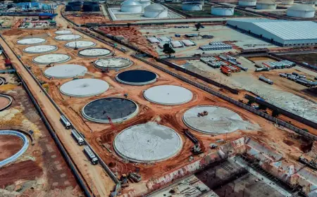 From Oil to EVs: East Africa charts dual energy future