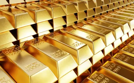 Architecting Tanzania’s sovereign wealth fund