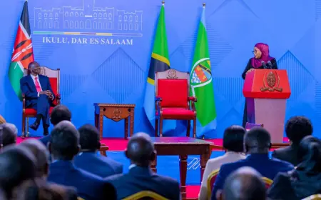  Dar es Salaam, Nairobi deepen economic ties with $500m investment deals