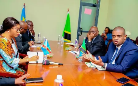 Tanzania, DRC deepen gas partnership to strengthen regional energy trade