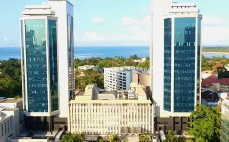 BoT: Gold buffer, prudent policies shield Tanzania from global shocks