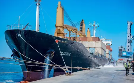 Tanzania cuts port infrastructure levy by half to boost trade competitiveness