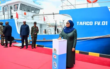 Tanzania unveils Sh433bn strategy to revolutionise livestock, fisheries sectors