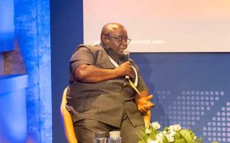 Tanzania moves closer to 5th licensing round for oil and gas exploration