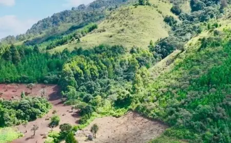 Njombe discovery strengthens Tanzania’s standing in global critical minerals race