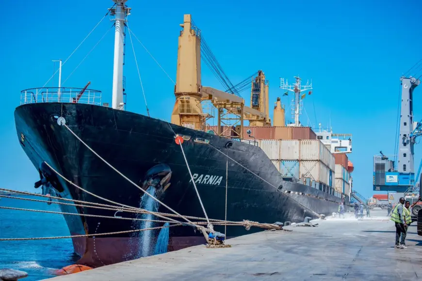 Tanzania cuts port infrastructure levy by half to boost trade competitiveness