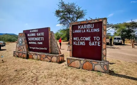 Tanzania National Park Authority unveils park-specific entry permits to boost tourism appeal