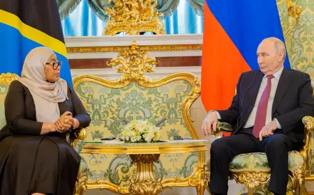 Tanzania, Russia target doubled trade volumes by 2030
