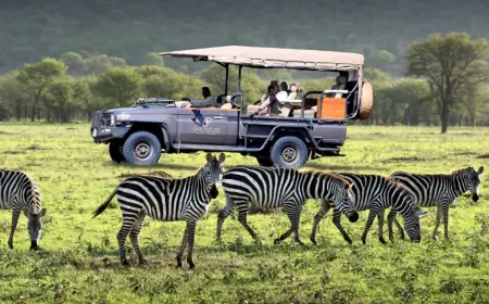 Beyond the Serengeti: Why Tanzania must diversify into cultural, urban tourism