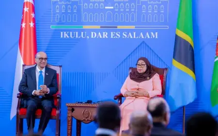 Tanzania, Singapore sign key bilateral agreements to drive trade