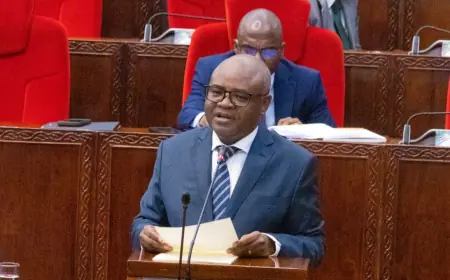 Tanzania targets 6.3pc economic growth in 2026 as development spending rises