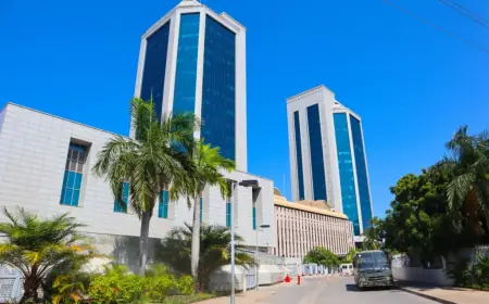 Tanzania opens government securities market to all foreign investors
