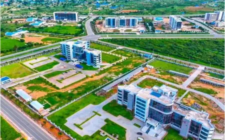 Dodoma emerges as new industrial hub as major investments pour in